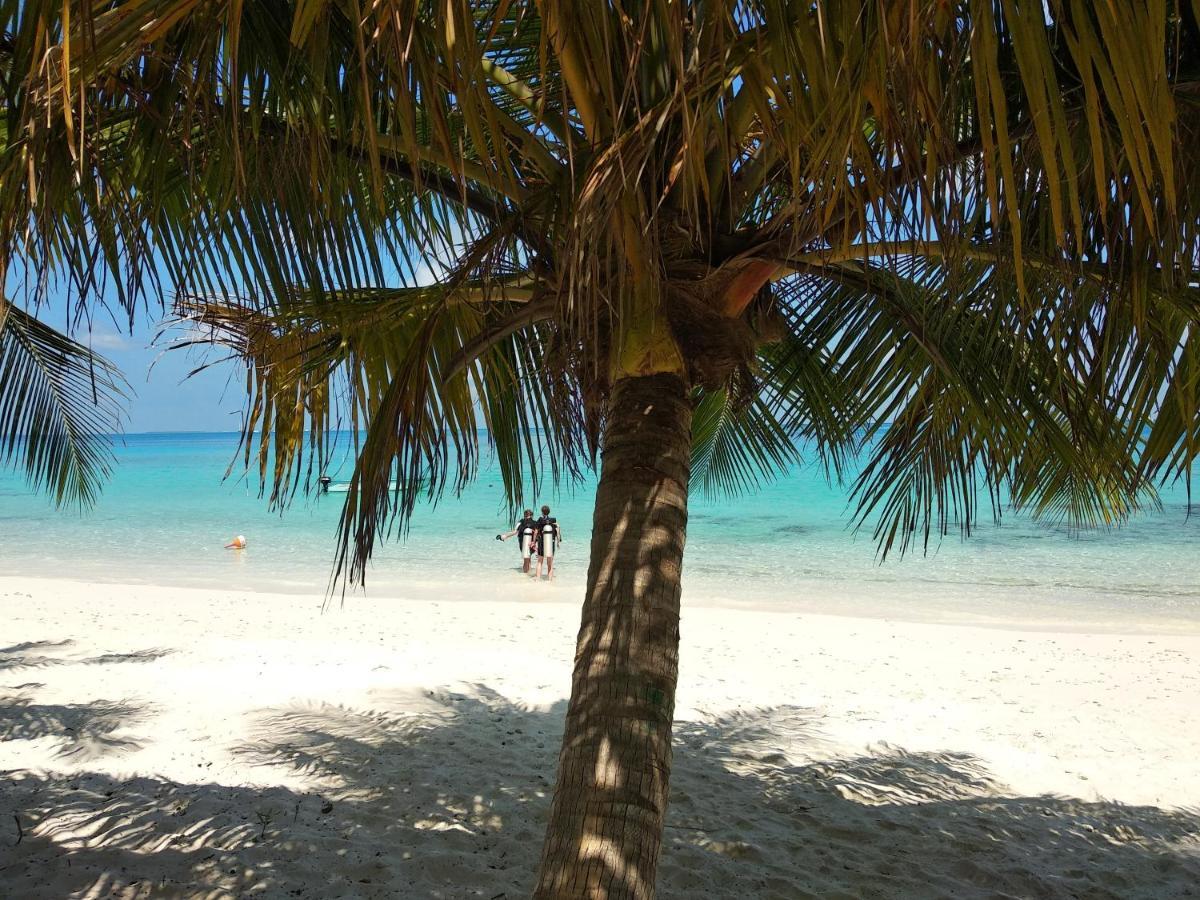 Dhigurah Beach Inn المظهر الخارجي الصورة